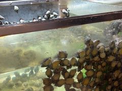 -V-ONE西雅图海鲜自助餐厅(仓山万达广场店)