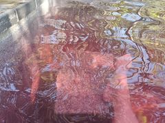 -深业半汤御泉庄温泉