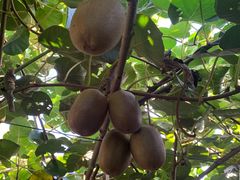 -济南马套将军山