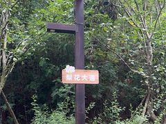 -黄龙溪欢乐田园