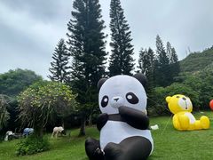 -青青世界