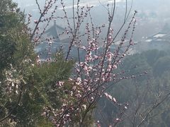 -北京凤凰岭