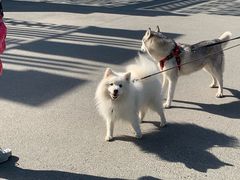 -维格兰雕塑公园