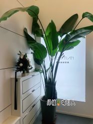 -春田皮肤管理中心品牌旗舰店