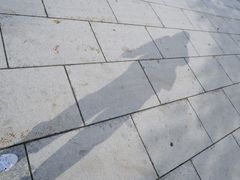 -哈尔滨大剧院