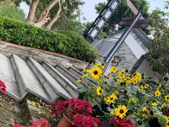 -广州神农草堂中医药博物馆