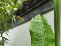 -金泽古镇