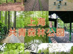 -上海共青森林公园