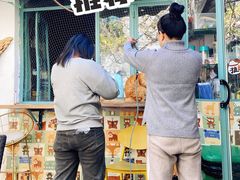 -喵屿·大理花园猫咖