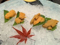 -月龍吟(朝龙汇店)