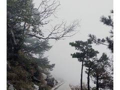 -朱雀国家森林公园