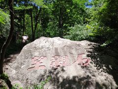 -王顺山国家森林公园