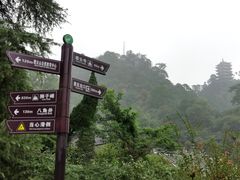 -缙云山景区
