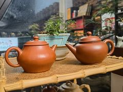 -正源安吉白茶特产享购商场(安吉店)
