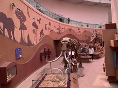 -陕西自然博物馆