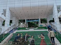 -九龙公园