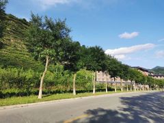 -大水川景区