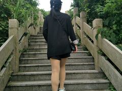 -春花秋色城市公园