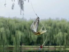 -东坝千亩湖公园