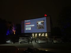 -枫花园汽车电影院(朝阳公园店)