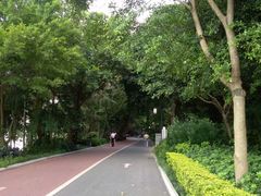 -南宁南湖公园
