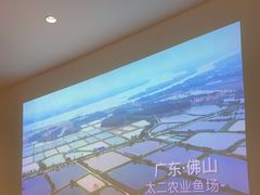 -太二酸菜鱼(沈阳万象城店)