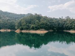 -广州市流溪河国家森林公园