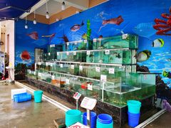 水产区-波记美食店·现捞海鲜