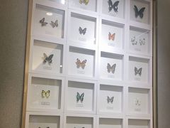 -峨嵋小镇(远洋城店)