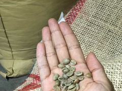 -FUN COFFEE