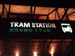 -清迈夜间动物园