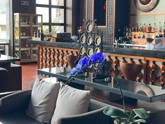 -时光吧·大堂吧·丽江和府洲际度假酒店