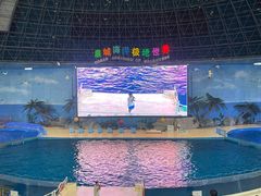 -泉城欧乐堡海洋极地世界