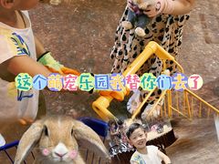 -杭州开元森泊度假乐园