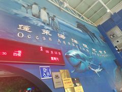 -蓬莱欧乐堡海洋极地世界