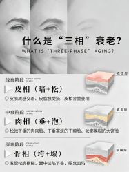 点击看大图 -玛莲朵·海菲秀冰珀科