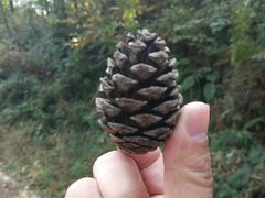 -南京金牛湖风景区