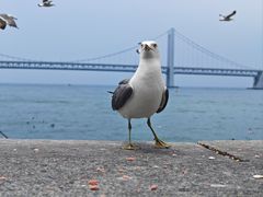 -星海广场