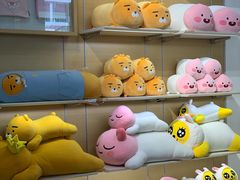 -KAKAO FRIENDS(弘大店)