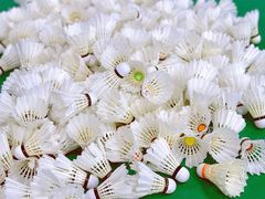 -588羽毛球馆