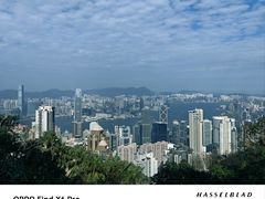 -太平山顶