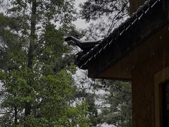 -寂照庵