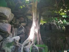 -福州罗源湾海洋世界旅游区