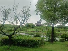 -上海海湾国家森林公园