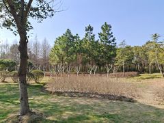 -贡湖湾湿地公园
