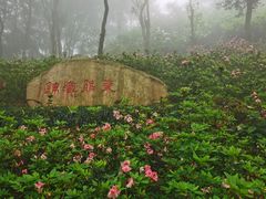 -梧桐山风景名胜区