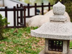 -天津水上公园
