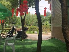 -宾湖农庄·农场特色(太湖龙之梦店)