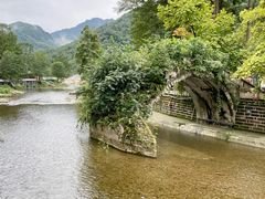 -四川省成都市彭州市白鹿镇