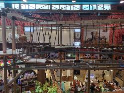 -卡通尼·Safari非洲探索乐园·生日会(金桥国际商业广场店)